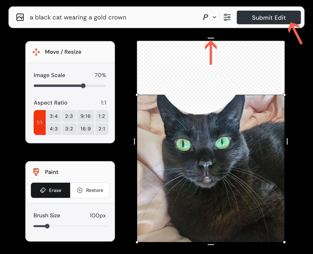 Midjourney's annotated editor screenshot with a cat photo, transparent space above its head, Erase selected and Submit Edit highlighted